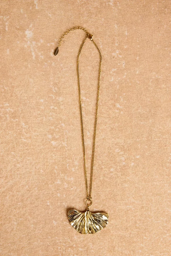 Collar Gazania